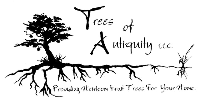 Trees of Antiquity Heirloom fruit trees