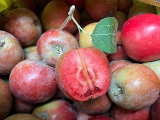 Red-fleshed apples - Good Fruit Grower