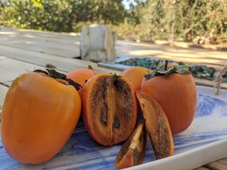 Persimmons, Guide for 2024